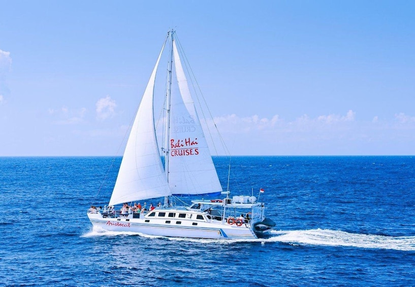 A sailboat with 'Baltic Cruises' written on its sail, sailing on the ocean. 2