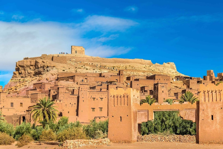 A fortified village with adobe buildings, palm trees, and a clear blue sky. 5