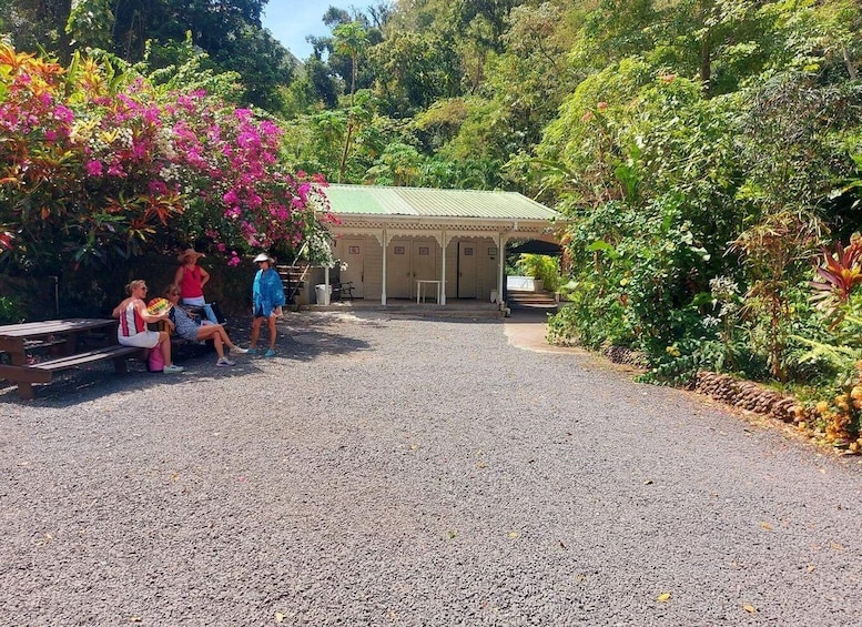 A gravel path leading to a covered pavilion surrounded by lush greenery and flowering plants. 4