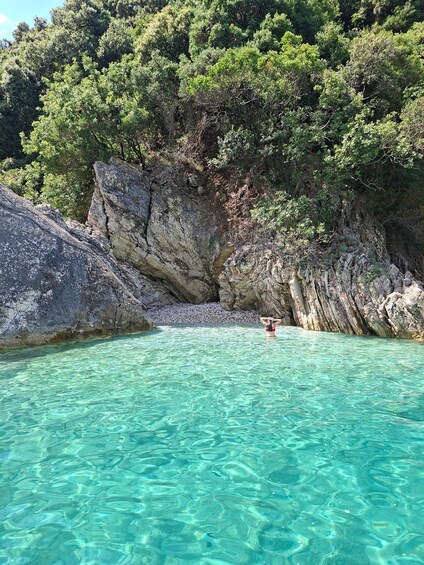 A clear turquoise sea with a rocky shoreline, a person swimming, and dense green foliage on a cliff. 1
