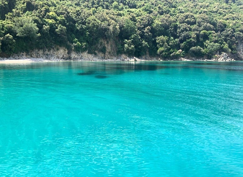 A turquoise sea with a forested coastline. 5