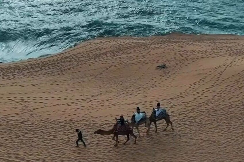 Une plage de sable où l’on peut voir des chevaux et des cavaliers. 5