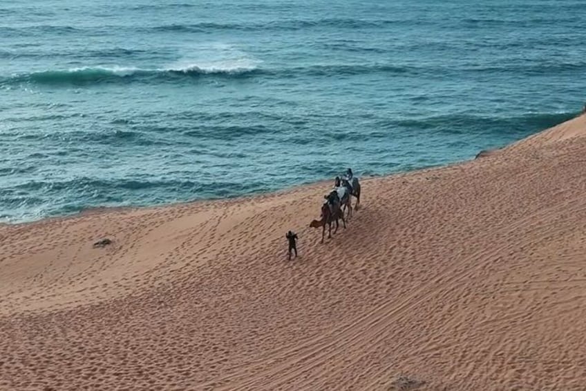 Une plage où l’on peut voir des chevaux et des cavaliers. 3