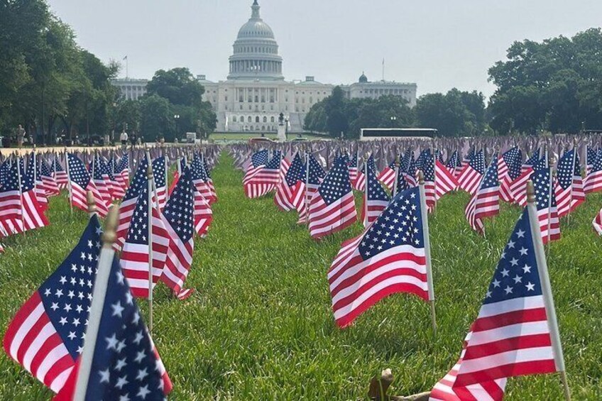 A field of American flags in front of a government building. 3