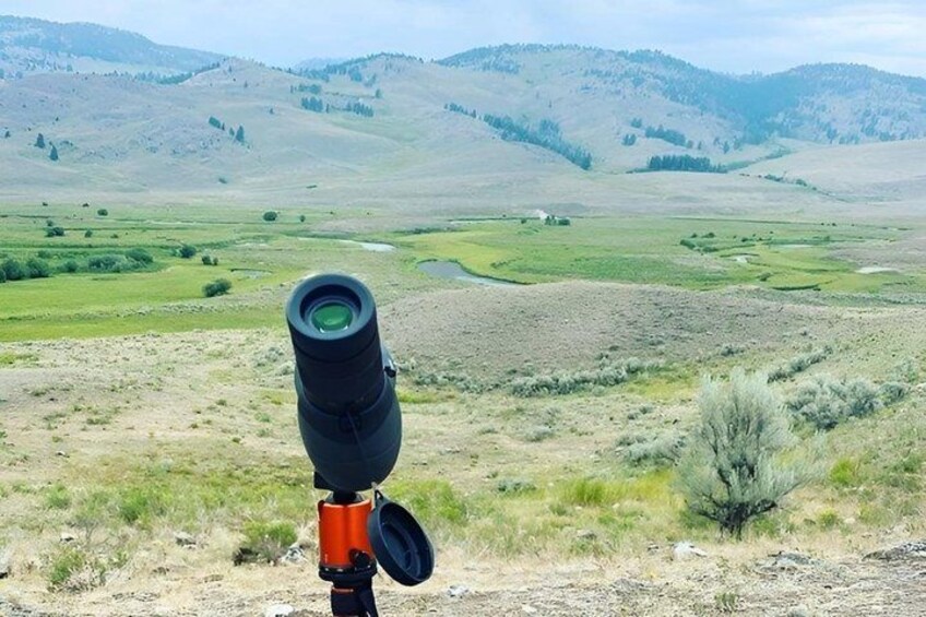 A landscape with a telescope, a small tree, and rolling hills in the background. 5