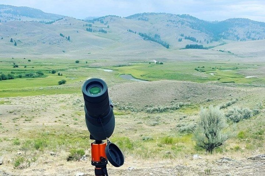 A landscape with a telescope on a tripod, a small tree, and rolling hills in the background. 3