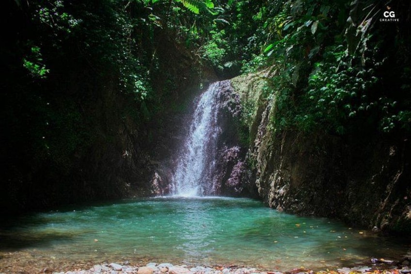 Full Day Tour - Popular Sites Grenada, Belmont Estate, Rain Forest and More 3