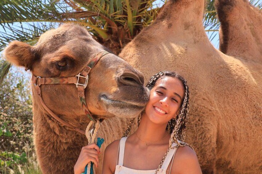 Cabo Camel Ride Experience with Tequila Tasting 5