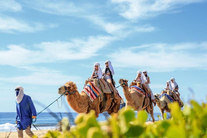 Un gruppo di persone cavalca dromedari su una spiaggia, con l'oceano sullo sfondo. 2