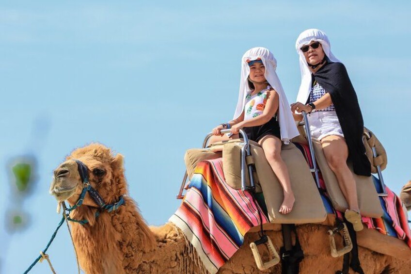 Cabo Camel Ride Experience with Tequila Tasting 3