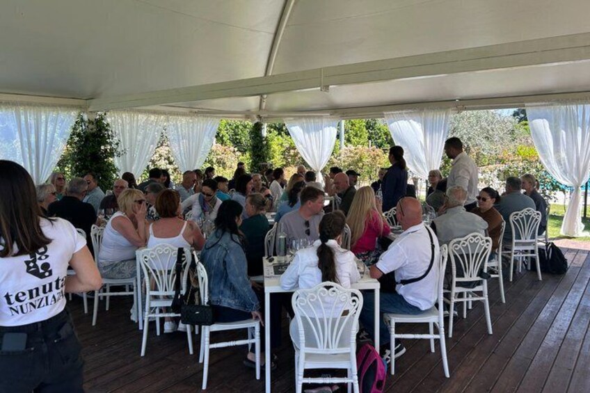 A covered outdoor dining area with white chairs and tables, surrounded by trees. 3
