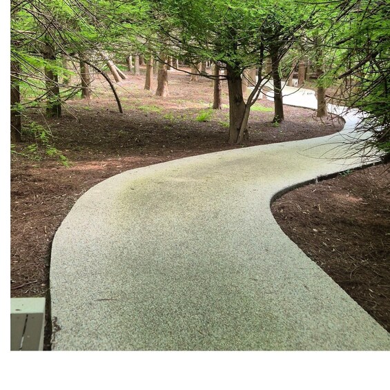 A winding concrete path through a wooded area. 5