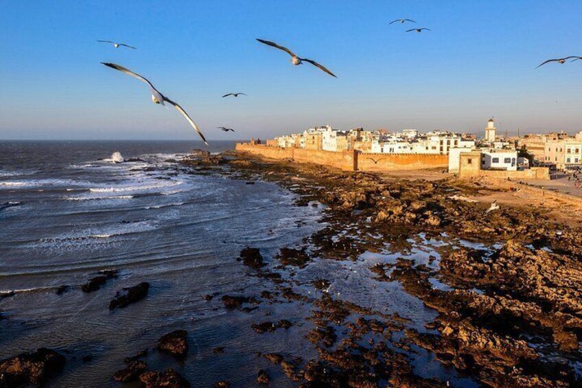 A coastal cityscape with rocky shores, waves, and seagulls. 3