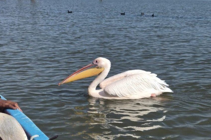 Lake Naivasha & Hell’s Gate National Park Day Tour from Nairobi 5