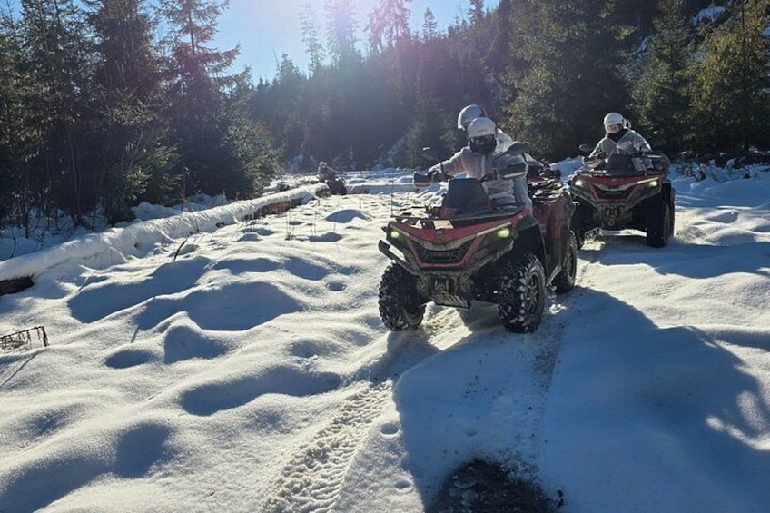 Dos vehículos todo terreno en un sendero nevado en un área boscosa. 1