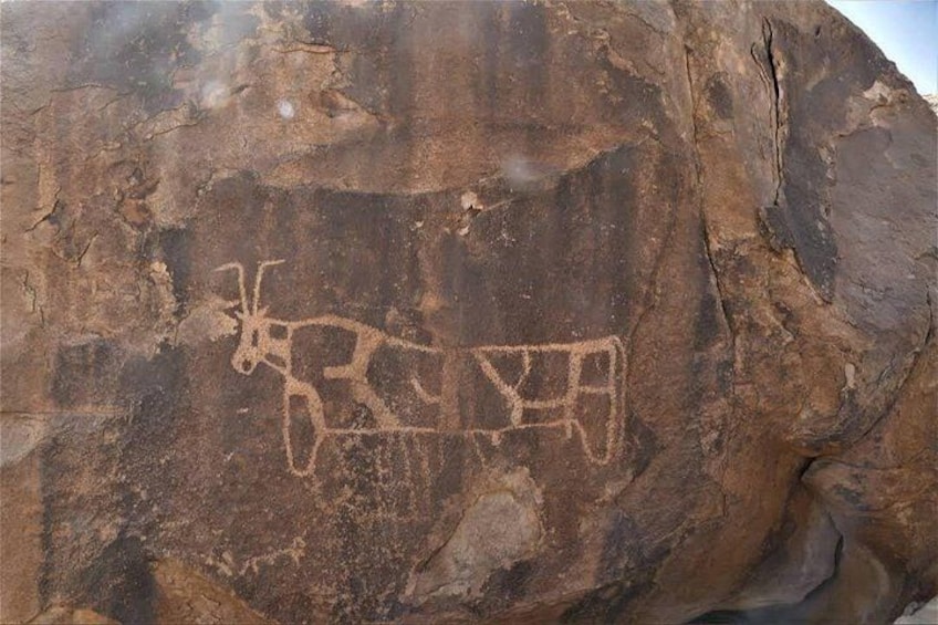 Full day Land of Madian tour with Biblical Sites visit 4