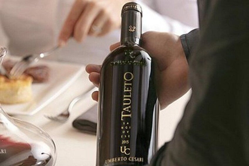 Half Day Wine Experience Tour from Ravenna 4