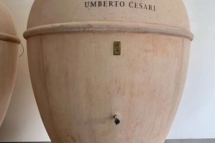 En stor, ljusfärgad kruka med inskriptionen ”UMBERTO CESARI” och en liten etikett. 2
