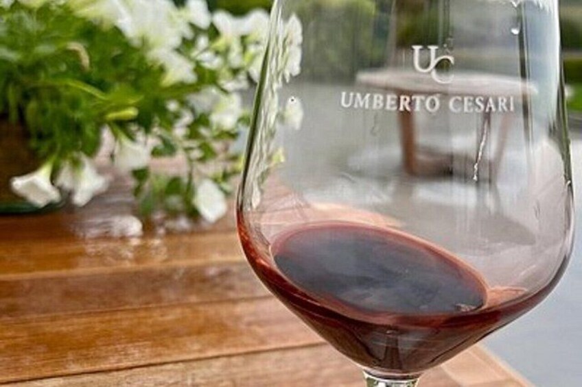 Half Day Wine Experience Tour from Ravenna 5