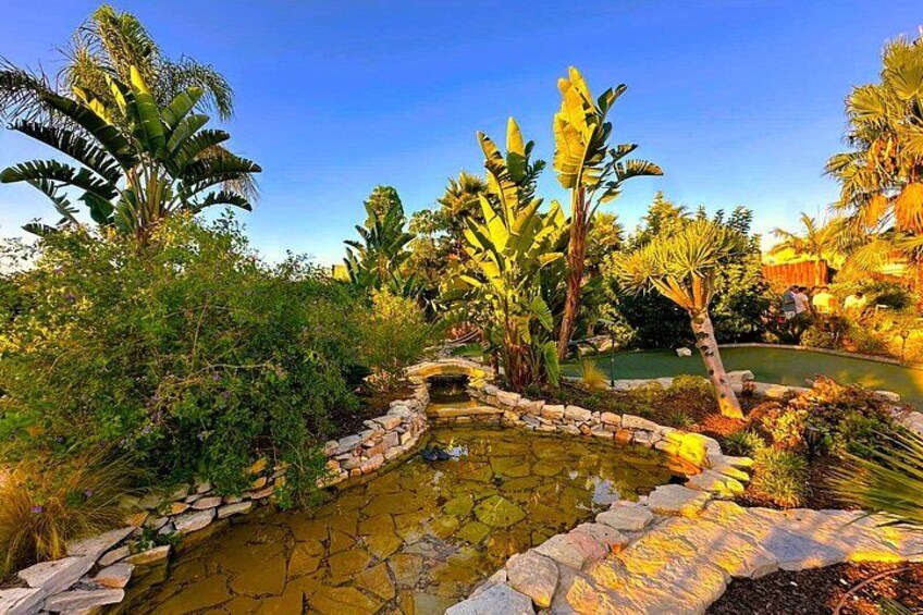 Un jardín con un estanque, palmeras de plátano y un sendero de piedra. 3