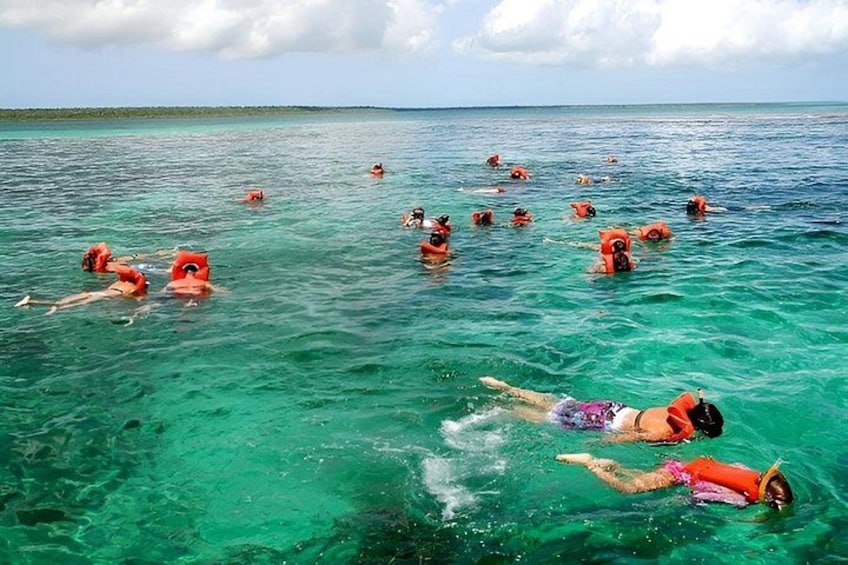 People swimming in clear turquoise water, some wearing orange life jackets. 2