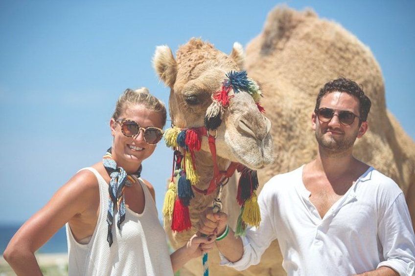 A camel with colorful decorations, a person in a white shirt, and a desert landscape with a large rock formation. 1