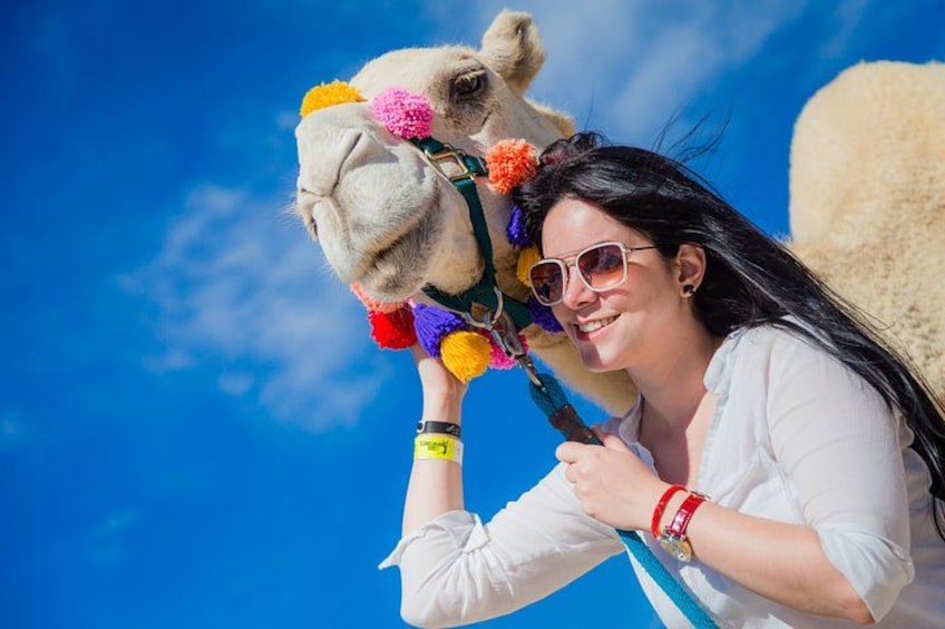 A person riding a camel with colorful decorations, against a clear blue sky. 3