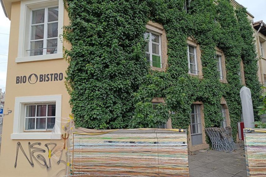 A building with a sign reading 'BIO BISTRO' and a wall covered in green ivy. 4
