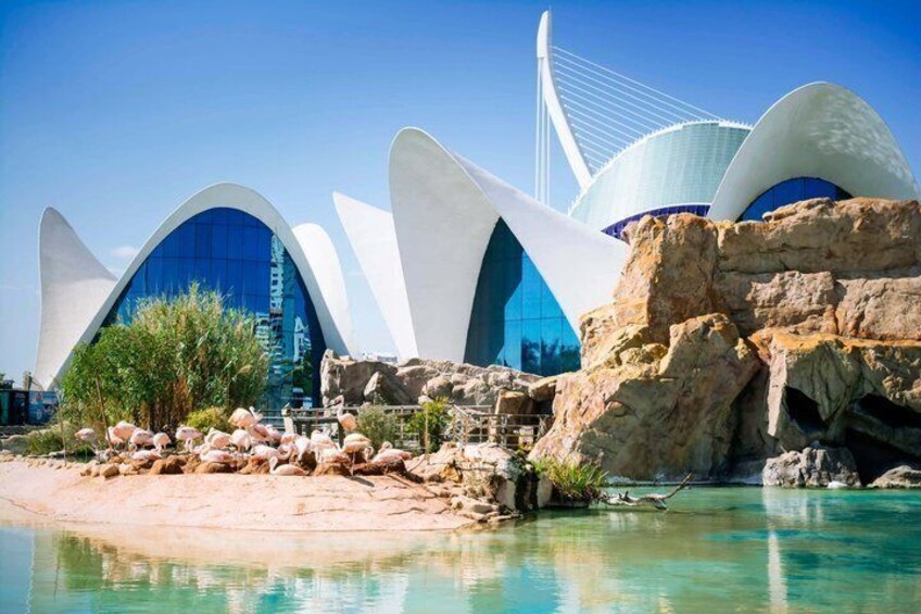 A modern architectural structure with unique curved designs, a clear blue sky, and a calm body of water. 5