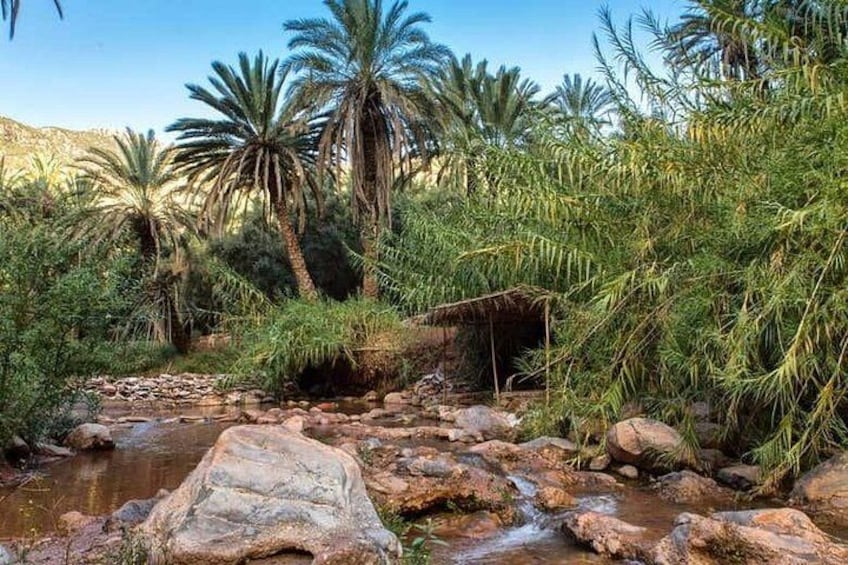 A rocky stream with palm trees and a thatched structure. 5
