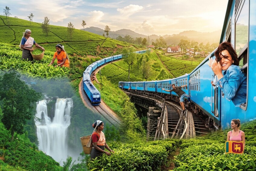Kandy to Ambewela or Nanuoya Drop Trip & Ella Train journey 1