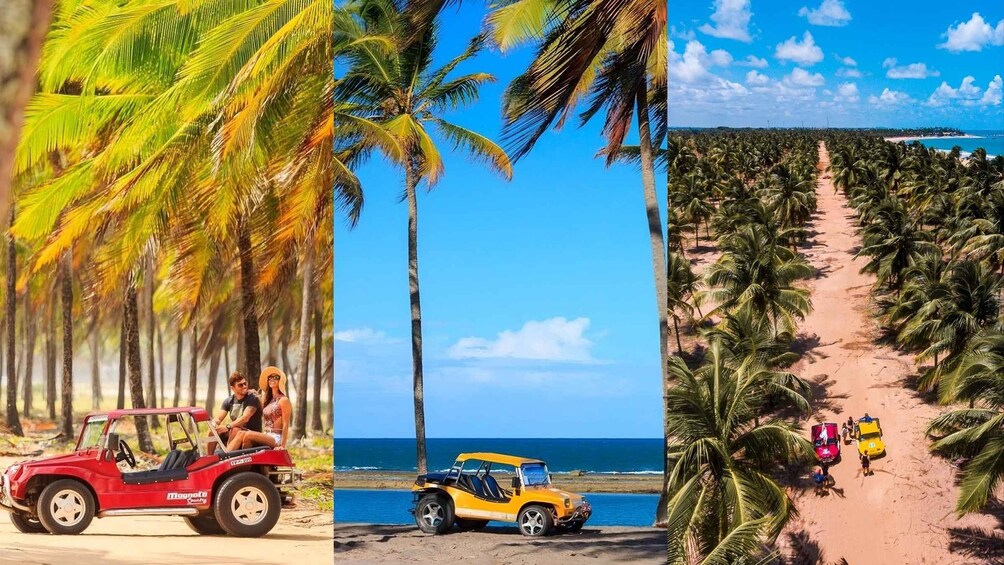 A beach with palm trees, a red car, and a yellow car. 2