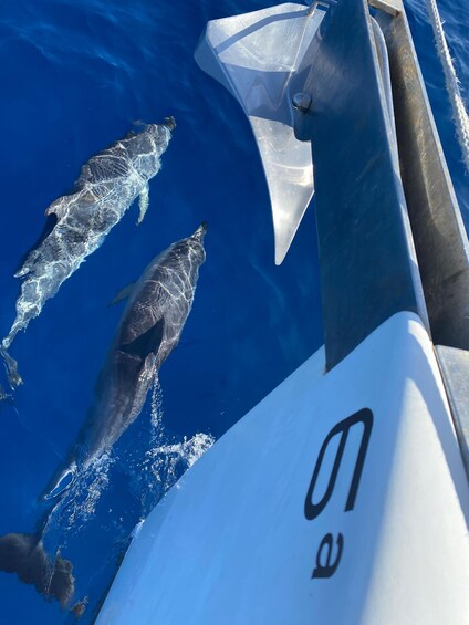 Picture 28 for Activity Lanzarote Playa Blanca: Private Sailboat Cruise Tour 4