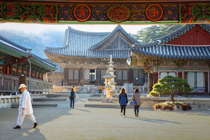 Picture 14 for Activity Busan: 5 Highlights of Pohang One Day Small Group Tour 3