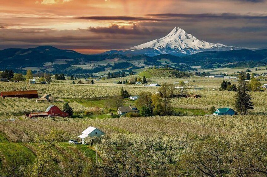 Self Guided Driving Audio Tour Mount Hood Scenic Loop 4