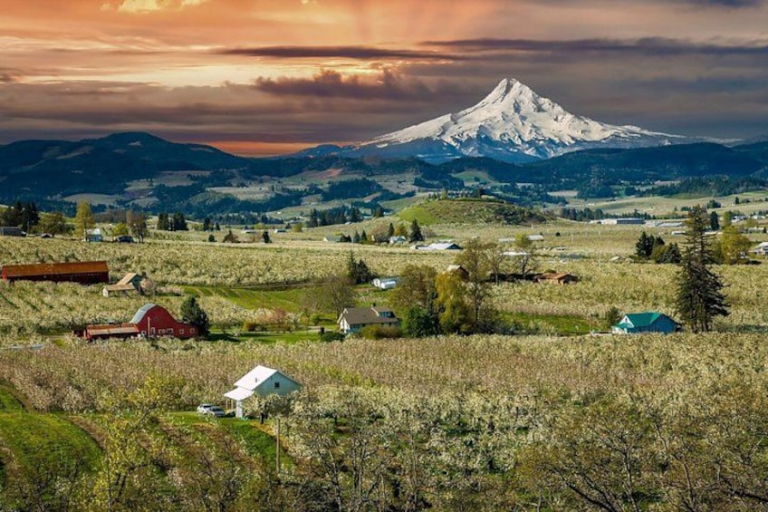 Un paysage rural caractérisé par une montagne imposante dont le sommet est enneigé, une grange rouge et une maison blanche. 3
