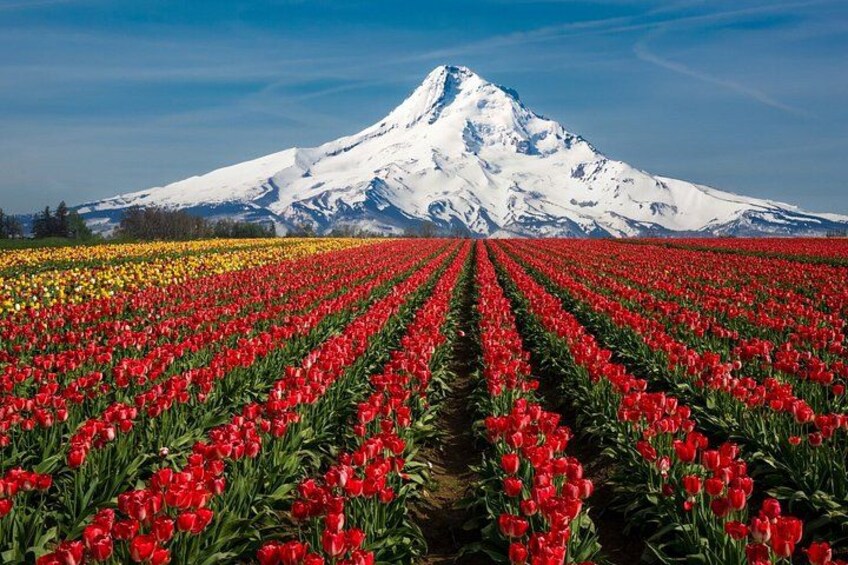 Self Guided Driving Audio Tour Mount Hood Scenic Loop 2