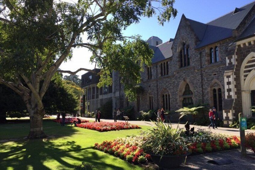 Tekapo to Christchurch Small-Group Tour (one-way) 3