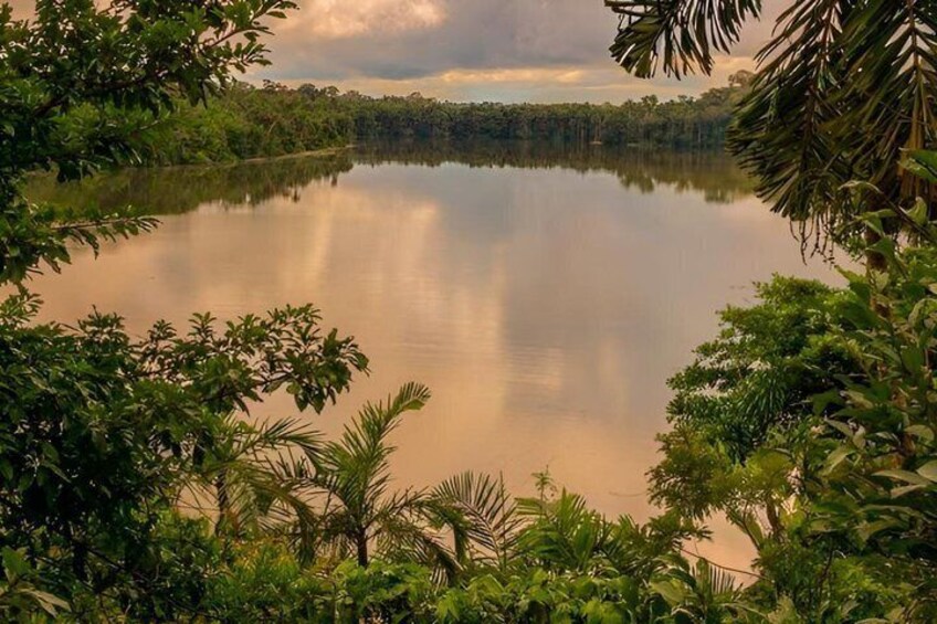 A calm lake surrounded by dense tropical foliage. 1