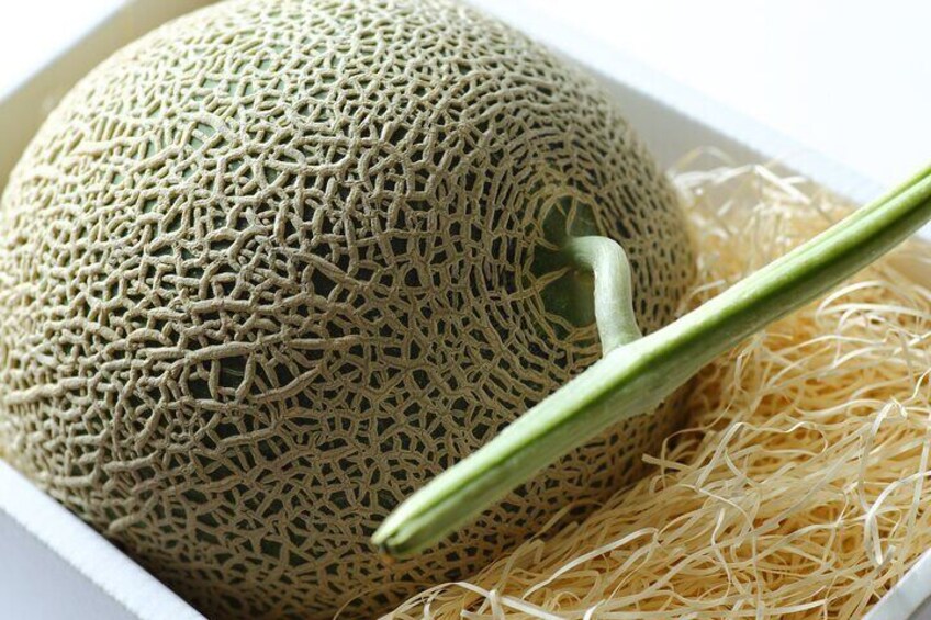 A cantaloupe with a net and a green tool. 3