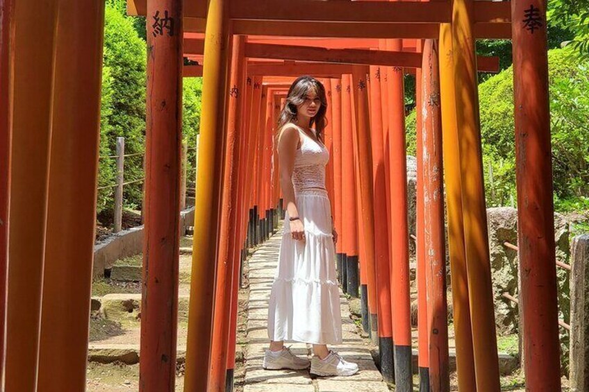 A person standing under a series of red torii gates in a garden. 1