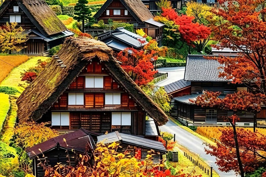 Traditional Japanese houses with thatched roofs and surrounded by autumn foliage. 2