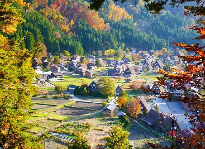 A rural village with traditional houses, surrounded by autumn-colored trees and fields. 3