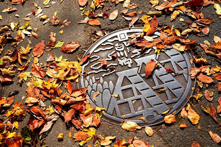 A metal grate with Japanese characters and a stylized tree design, surrounded by autumn leaves. 3
