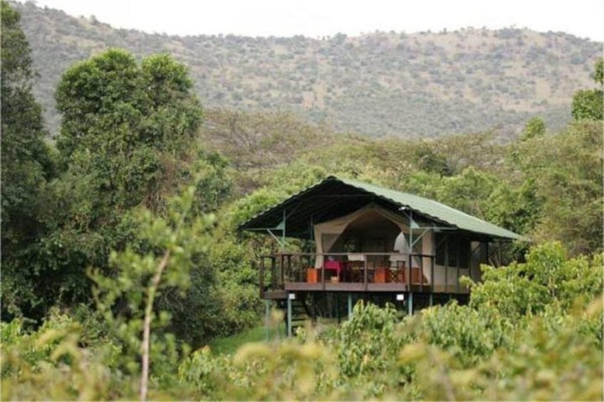 A lodge in a forested area with a green roof and a balcony overlooking the landscape. 2