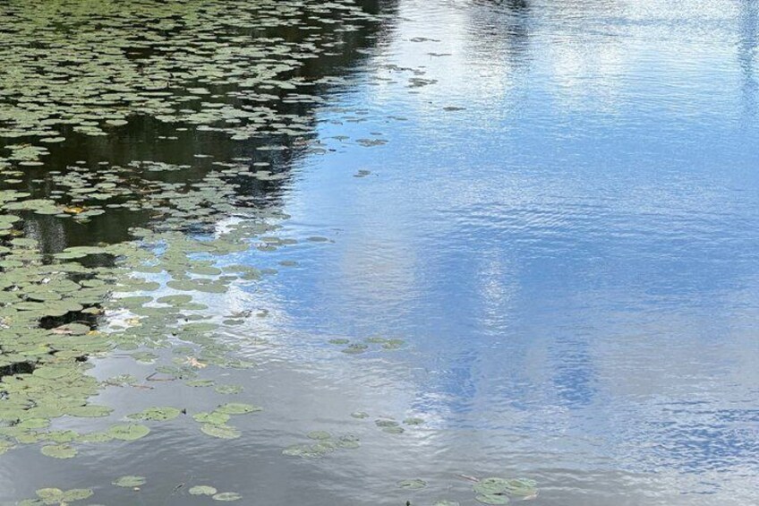 A calm body of water with lily pads and reflections of the sky. 4