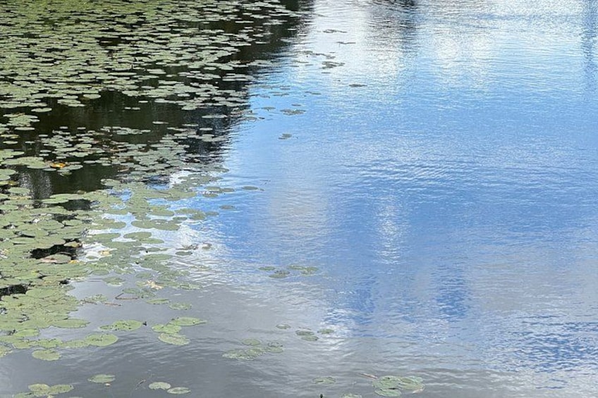 A calm body of water with lily pads and reflections of the sky. 4
