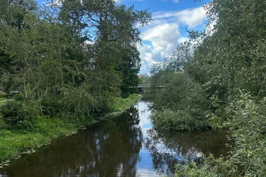 A calm river flanked by dense trees and a clear sky. 3