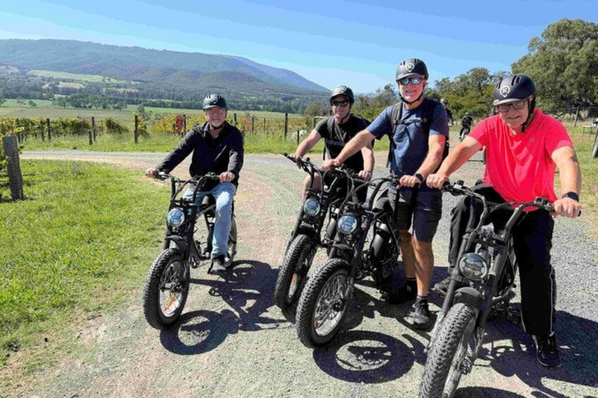 Yarra Valley Rail Trail e-Bike Adventure eXperience, Wine & Lunch 2