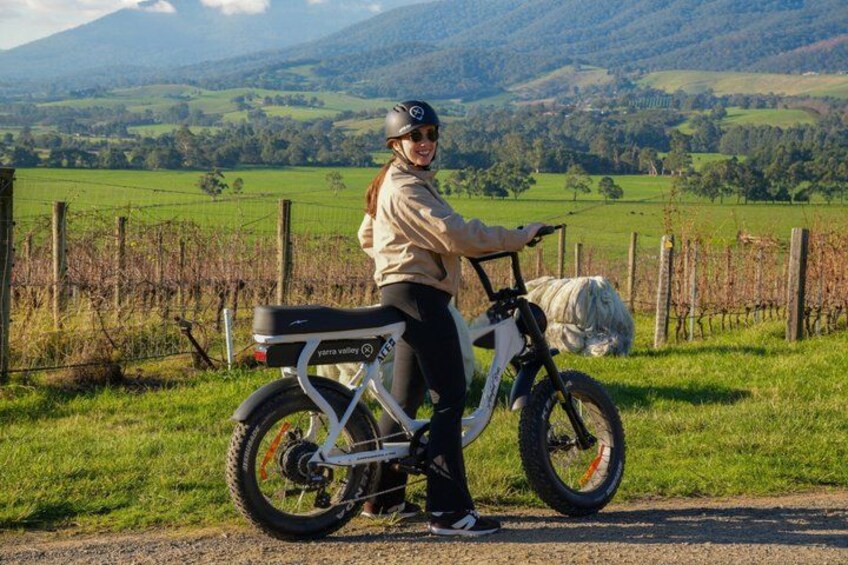 Yarra Valley Rail Trail e-Bike Adventure eXperience, Wine & Lunch 1